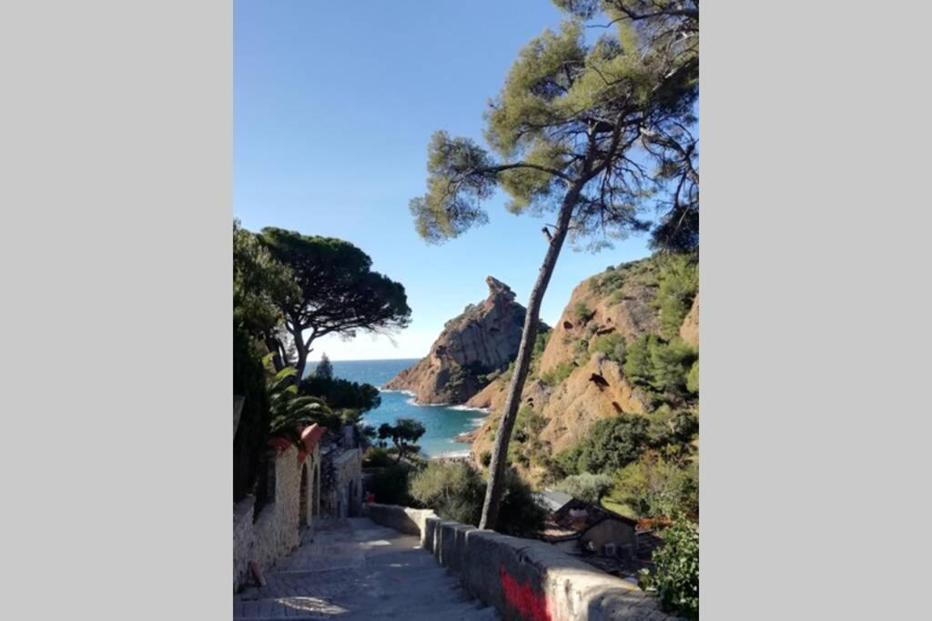 Le Repaire De La Cadiere A 5Mn Des Plages ! Saint-Cyr-sur-Mer Buitenkant foto
