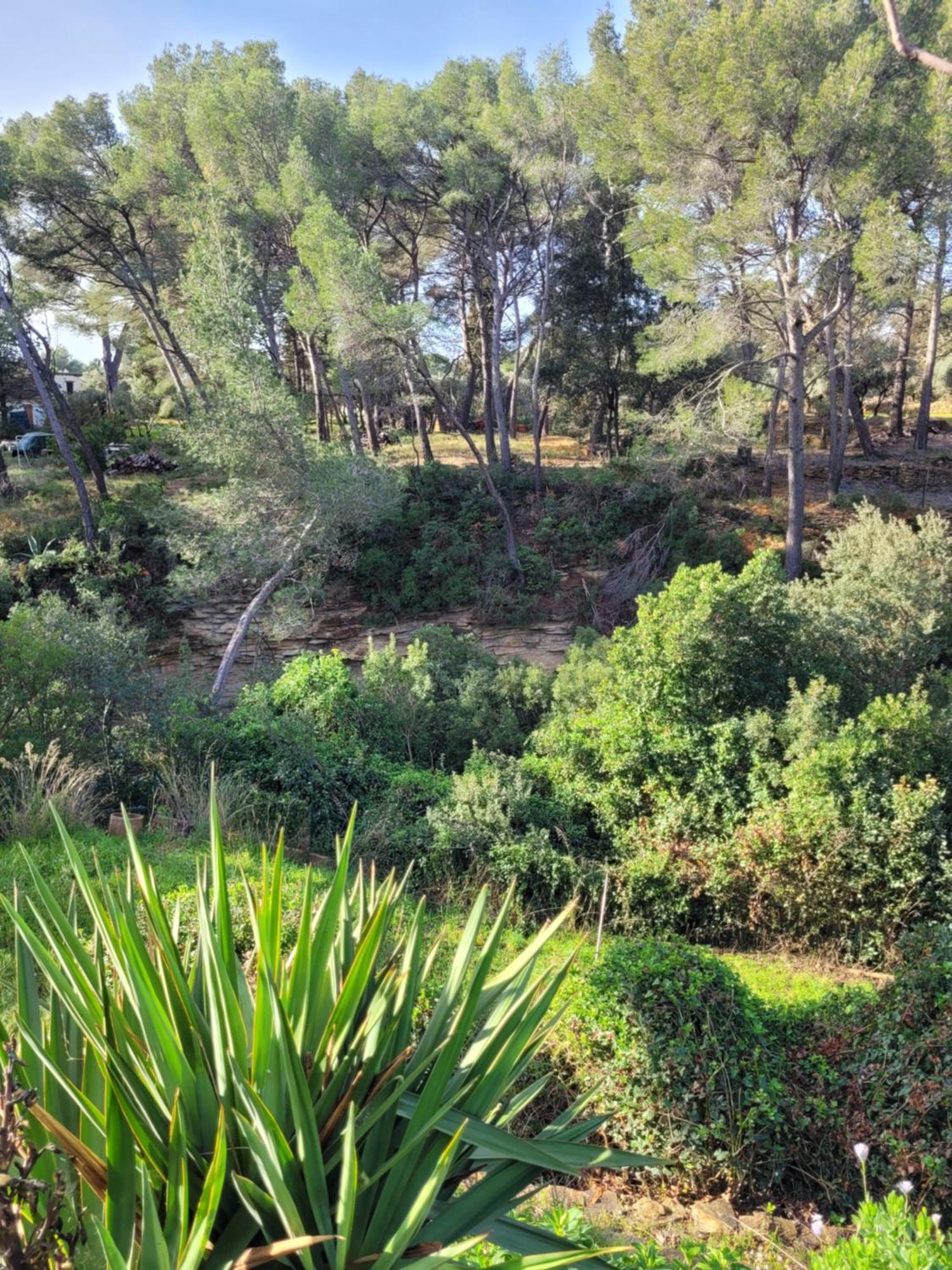 Le Repaire De La Cadiere A 5Mn Des Plages ! Saint-Cyr-sur-Mer Buitenkant foto